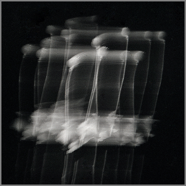 Dieter WALTER