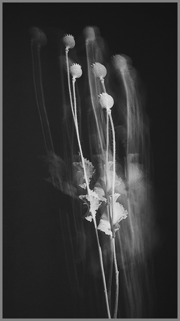 Dieter WALTER